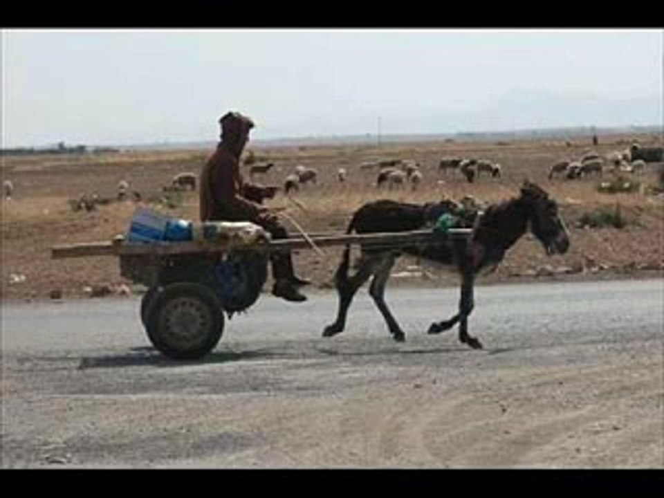 funnypunjabi_7793_w_3