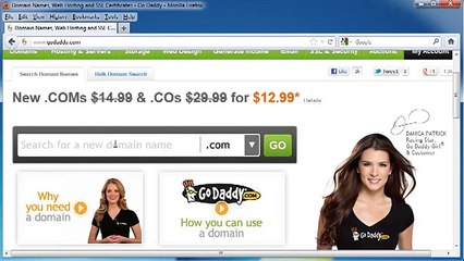 Wordpress Tutorial 2014   01   Buy a Domain Name