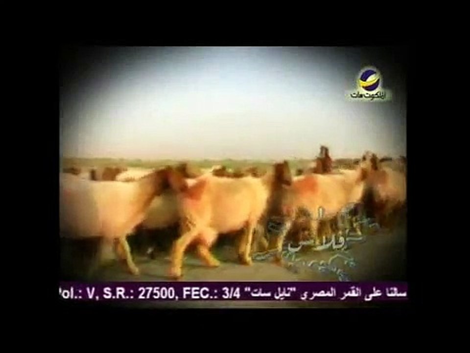 Flash فلاش الرب راعي حياتي