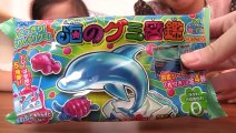 Kracie 海のグミ図鑑 Marine animals shaped candy kit