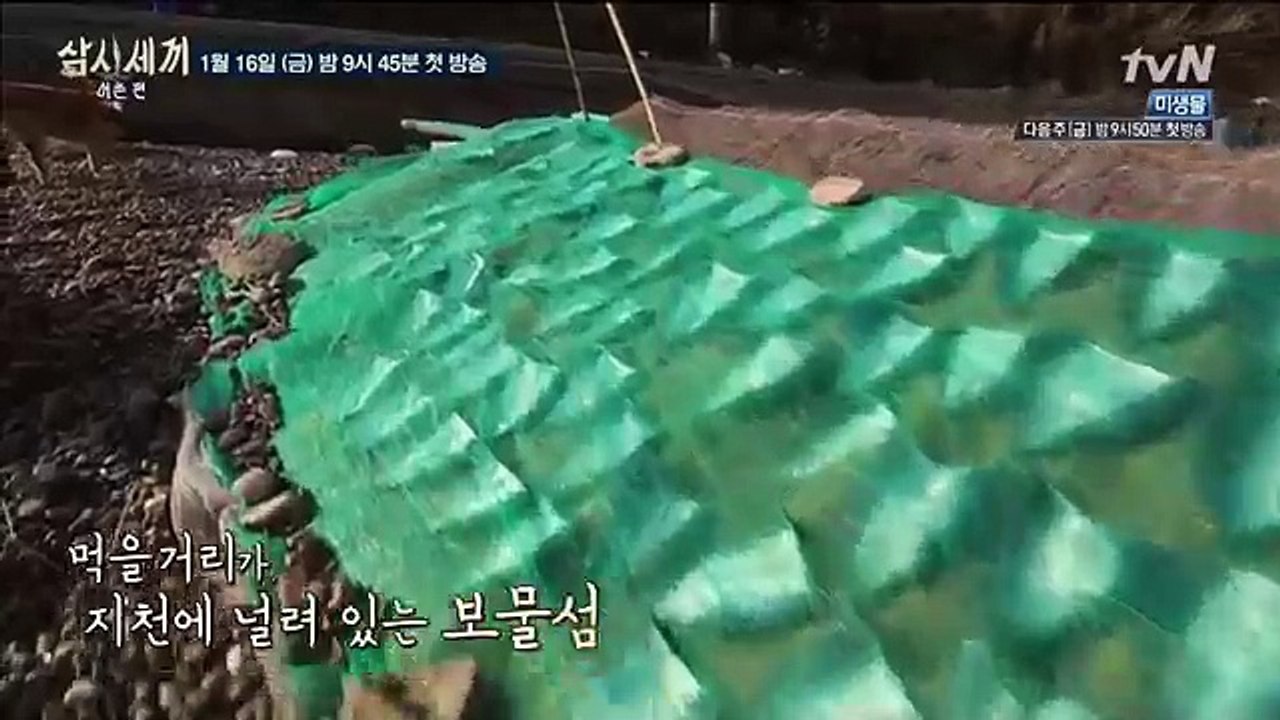삼시세끼 어촌편 예고-장근석