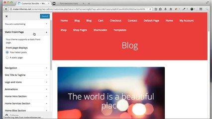 Wordpress Customizer Tutorial