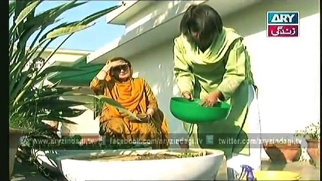 Naheed Ansari Show, 27th Decemeber 2014, Baigan Ka Maleeda