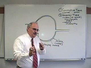 Anatomy of eye part 2