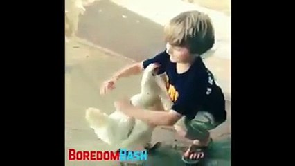Little kid hugging hen with snow white passion