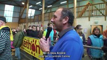 Téléthon Calvados 2014 - Mouen - Agility canin