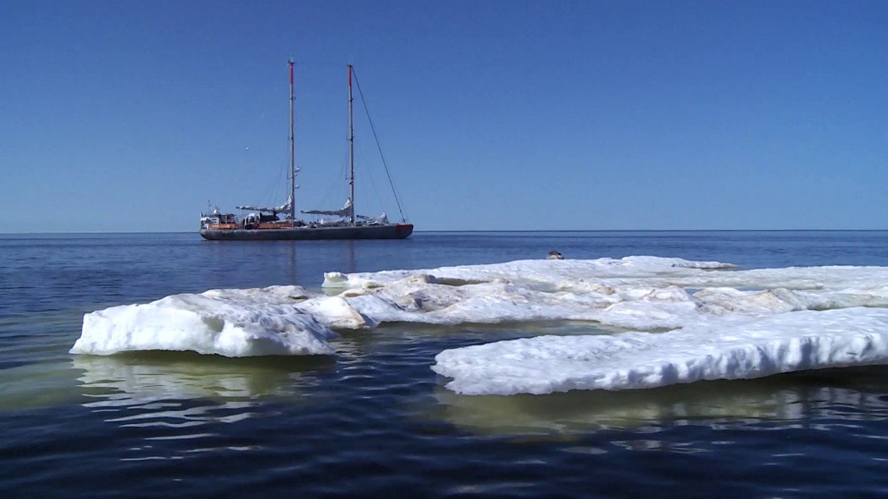 Tara Expédition  est de retour à Lorient : Partie 2