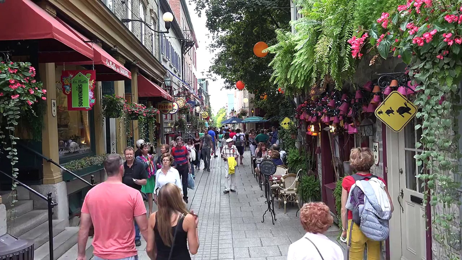 ⁣Canada Travel Video Documentary | Visitting Canada | Travel Guide and Tips
