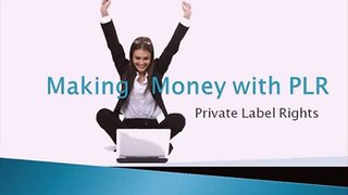 Making Money With Private Label Rights Products Video Intro