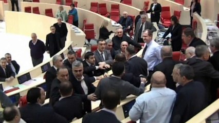 Brawl in Georgian Parliament