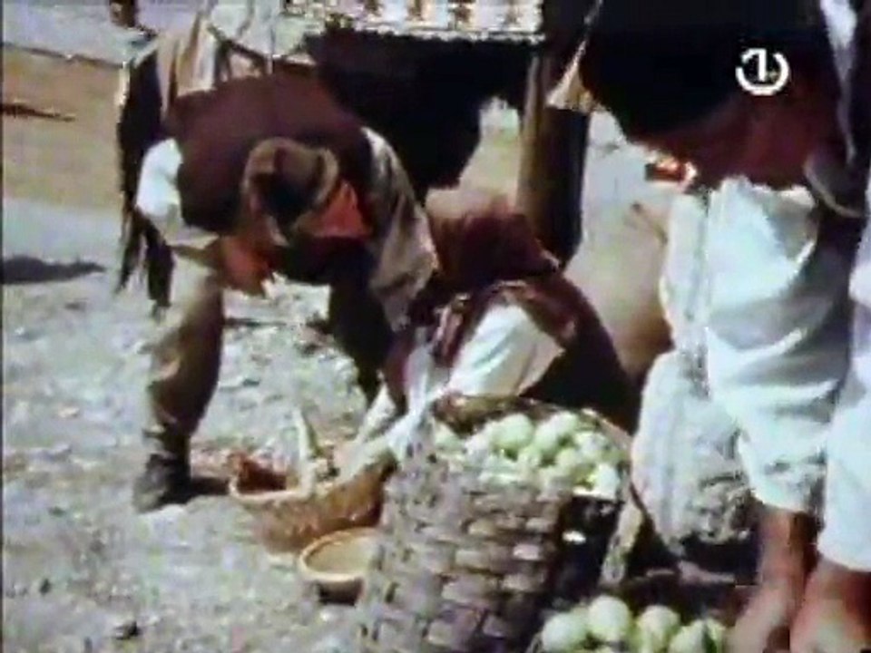 Cilim (1980) Domaci film | EX-YU FILMOVI