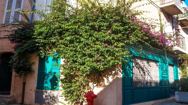 balade à Saint-Tropez