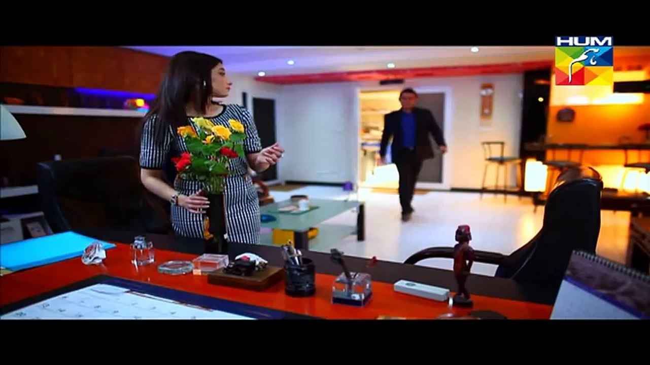 Zindagi Tum Ho Episode 2 Full on Hum tv 26th December 2014