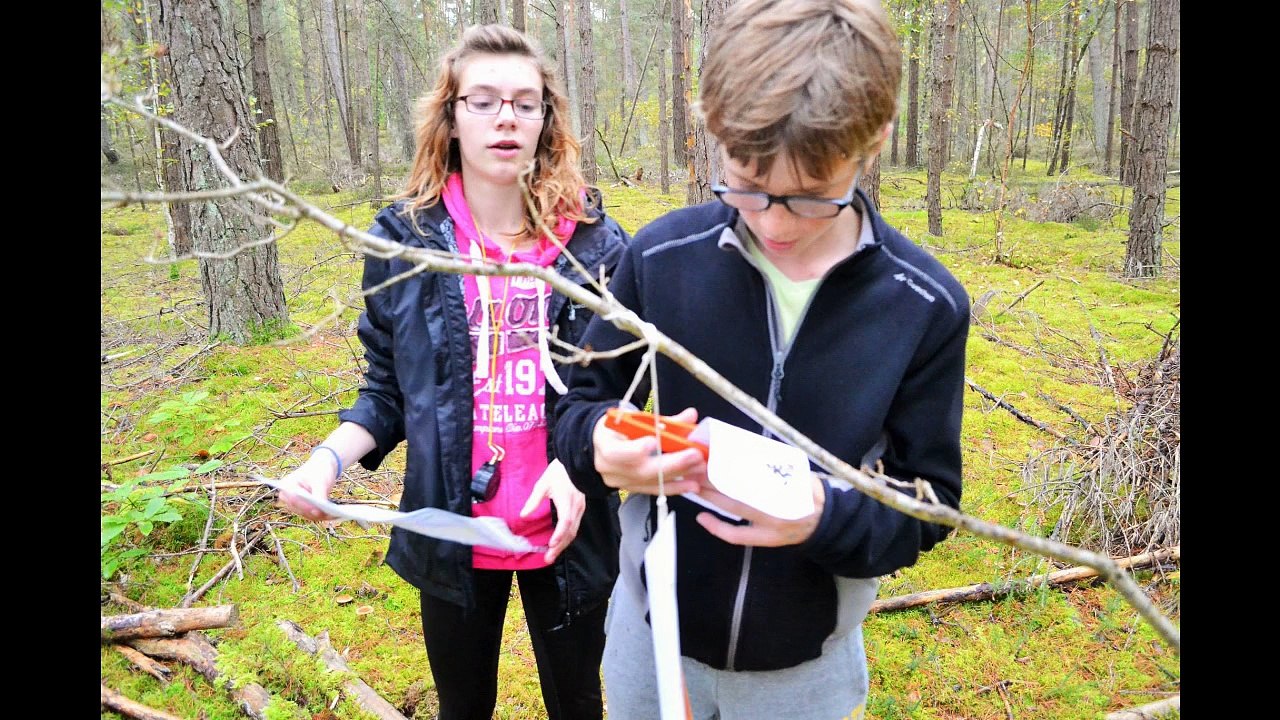 Stage à Fontainebleau - Toussain 2014 - Journée 3