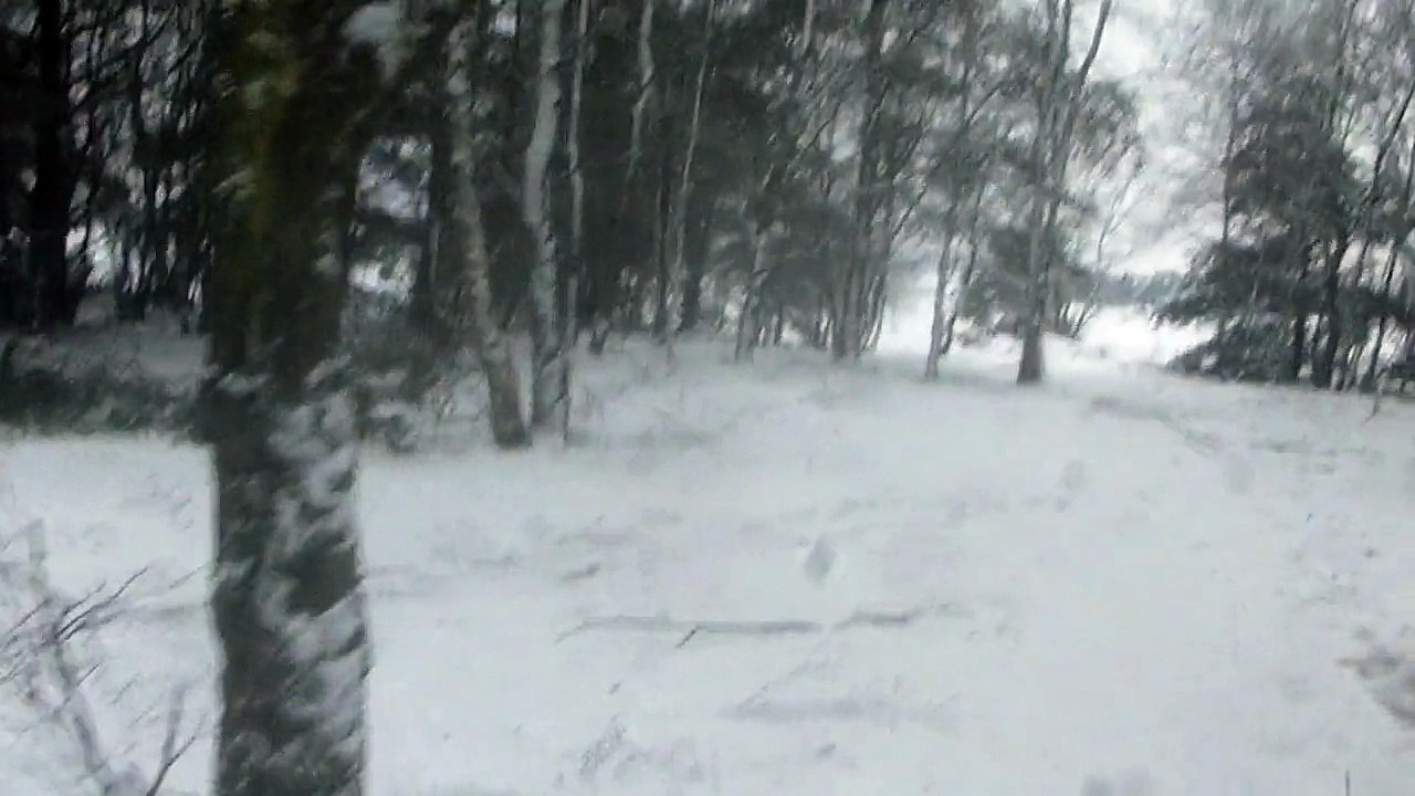 Zeppo Snow