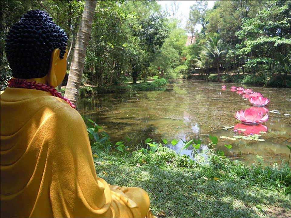 Détecteur de polarité Yin Yang : Détection des Chakras par soi même .