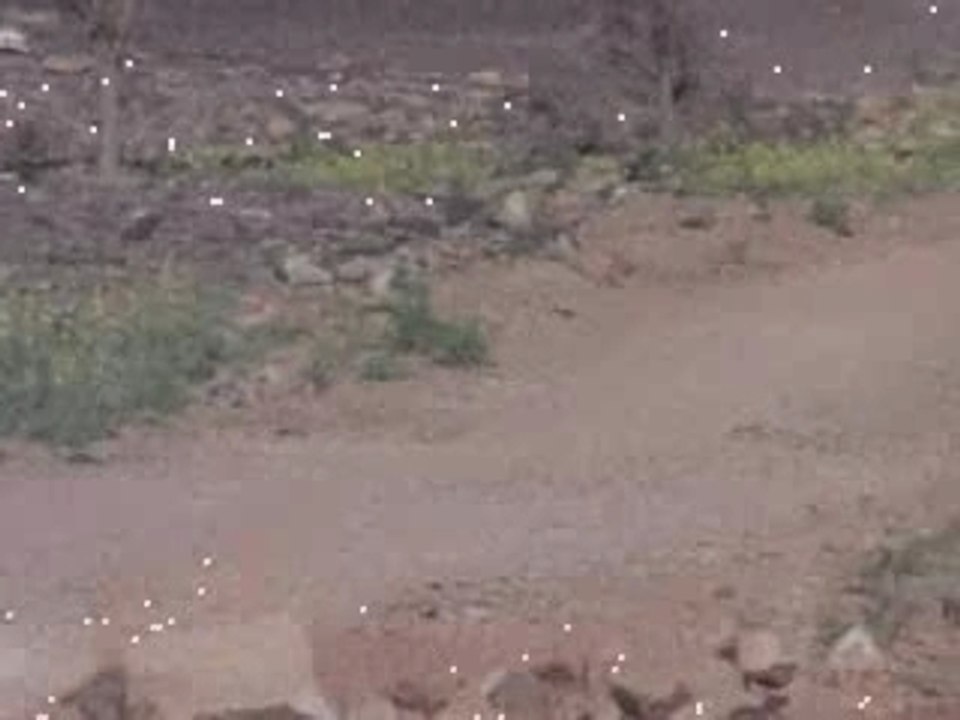 Film du raid 2ème partie