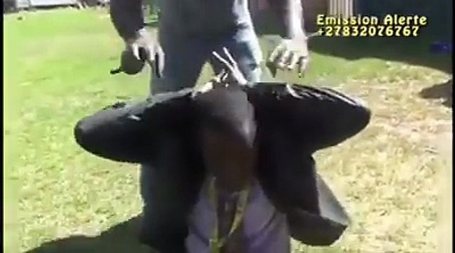 Burkina Computer Pro - BCP: NetPlus Info Alerte Un député pro kabila attrapé par Les combattants congolais en Afrique du Sud