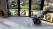 Stone Cleaners Wiltshire | Stone Restorers Wiltshire | Natural Stone
