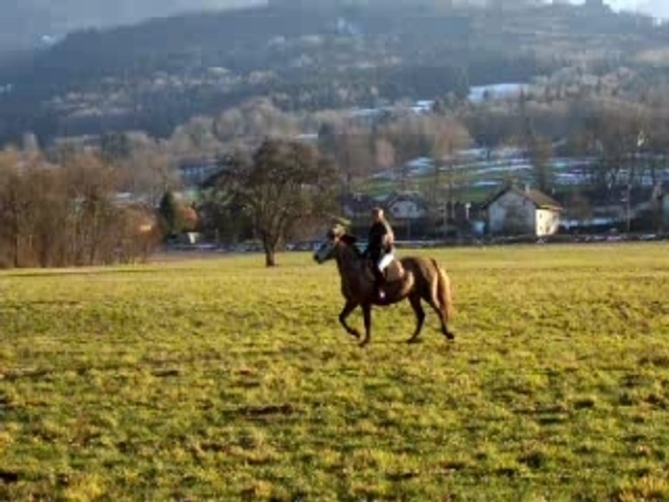 Dans le champs