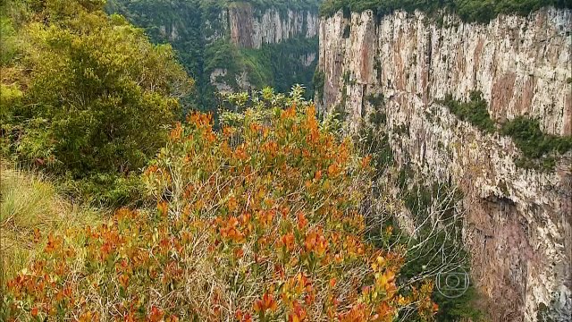 GLOBO REPÓRTER Cânions do Sul 20/02/2015 Parte 1/3 Online Completo HDTV 720p 20-02-2015