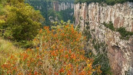 GLOBO REPÓRTER Cânions do Sul 20/02/2015 Parte 1/3 Online Completo HDTV 720p 20-02-2015