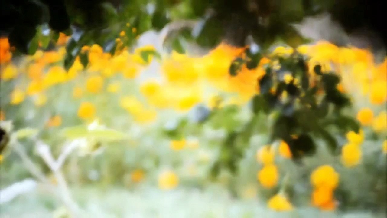 Ajab Gul Arzoo Beraqs Gul Negar Jan