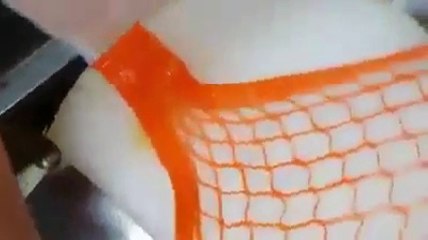 Download Video: Talented Chef Cuts a Carrot Into An Incredible Mesh