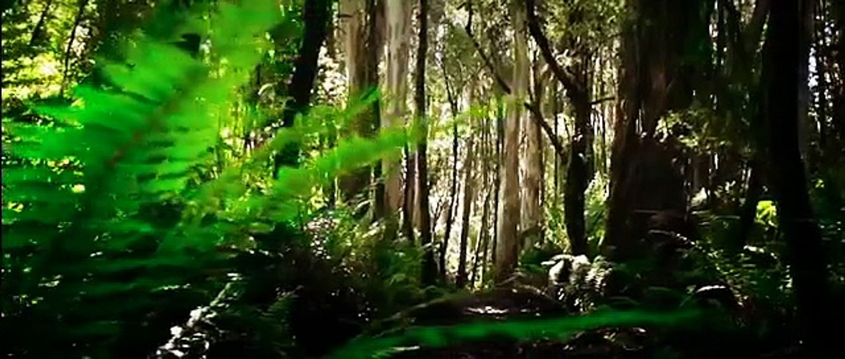 Natural atmosphere