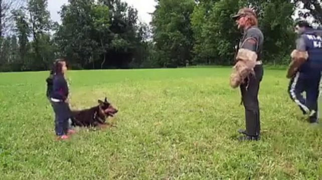 Dogs are always Loyal...A 5 Year Old Girl Getting Protected By Her German Shepherd.