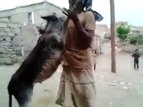 VID-20150221-WA0098.mp4