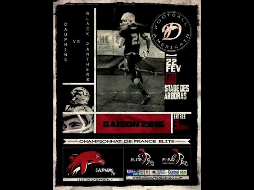 Dauphins / Black Panthers 22/02/2015