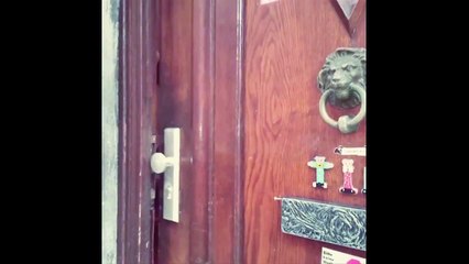 Die Turbine Steel Collection präsentiert von Willi Thomczyk