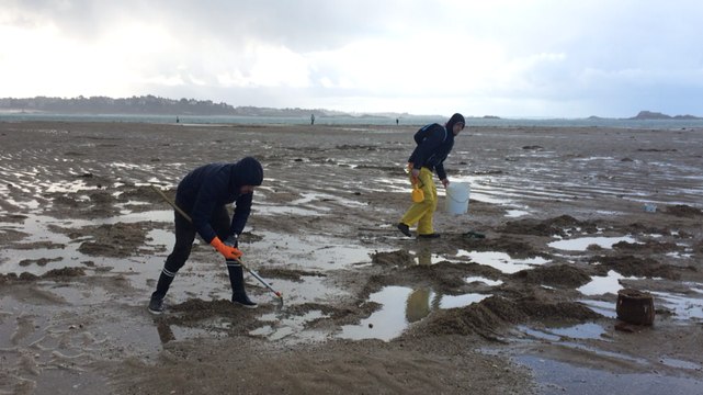 Pêche à pied pendant les grandes marées