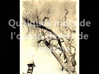 Ma tristesse et solitude...