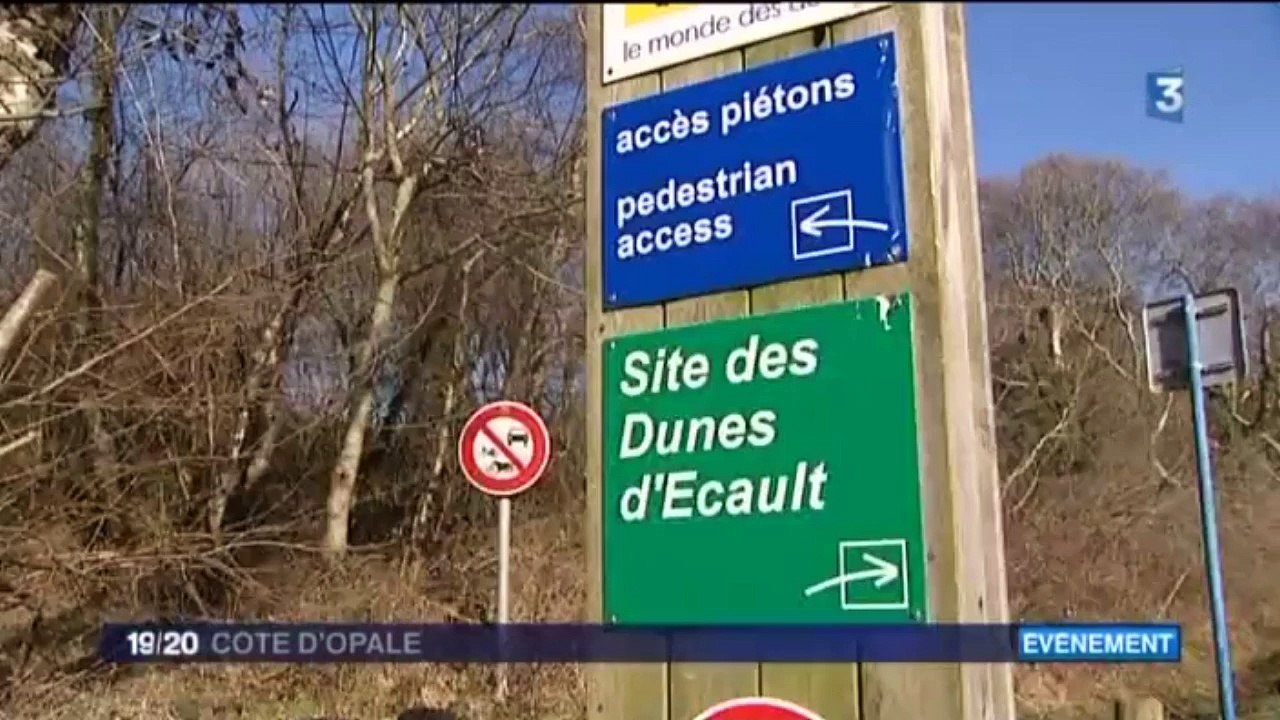 Déminage Plage d'Ecault près d'Equihen Plage