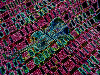 Arte Pós-Moderna: Características e Influências