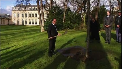 Pelle à la main, François Hollande plante un arbre à l'Elysée