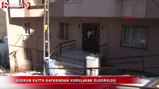 Bodrum katta kafasına vurularak öldürüldü