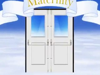 The Fat Loss Solution Book Instant Download