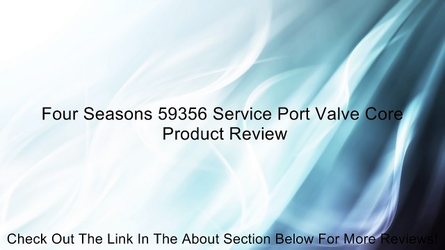 Four Seasons 59356 Service Port Valve Core Review