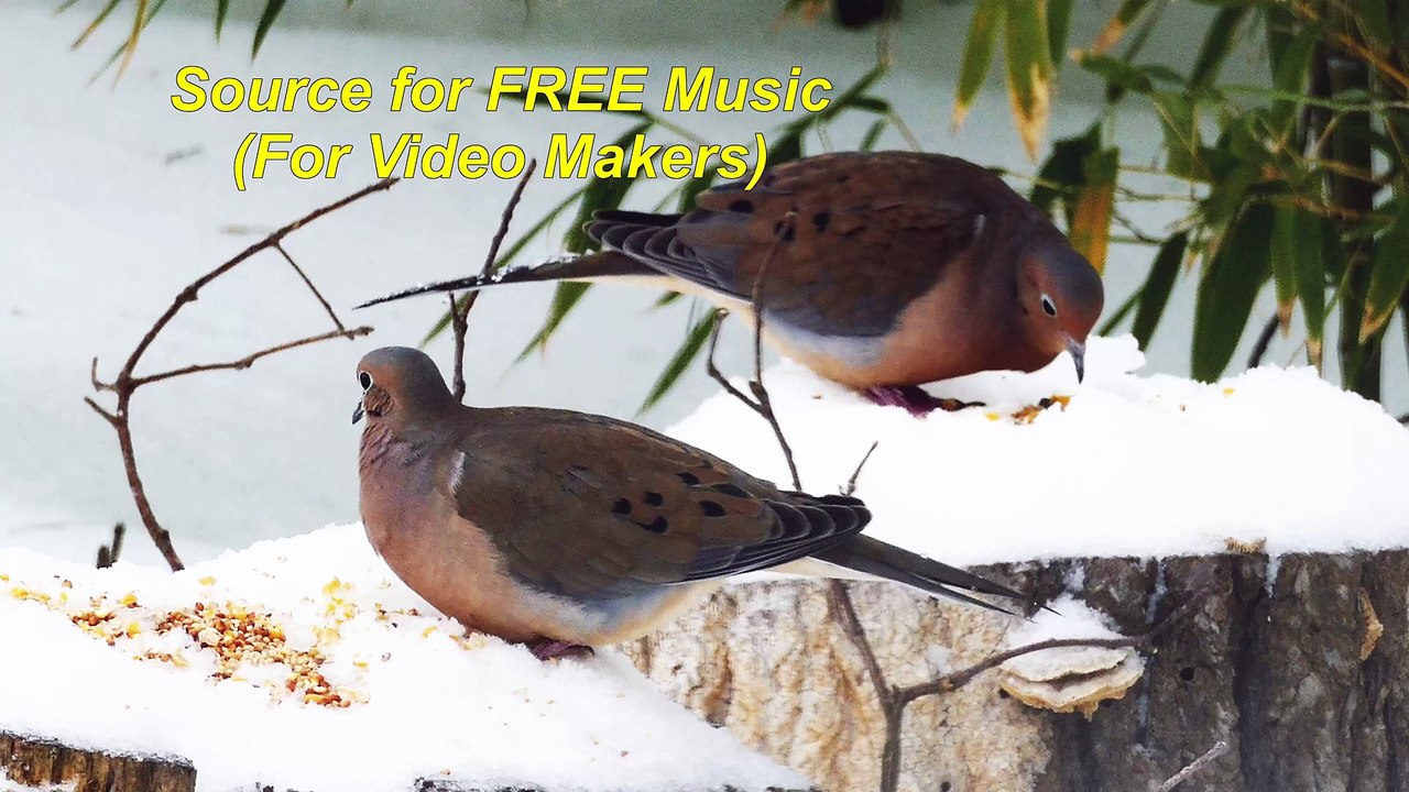 Sources for FREE music