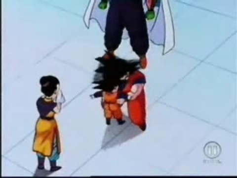 AMV sangoku rayane-ssj4