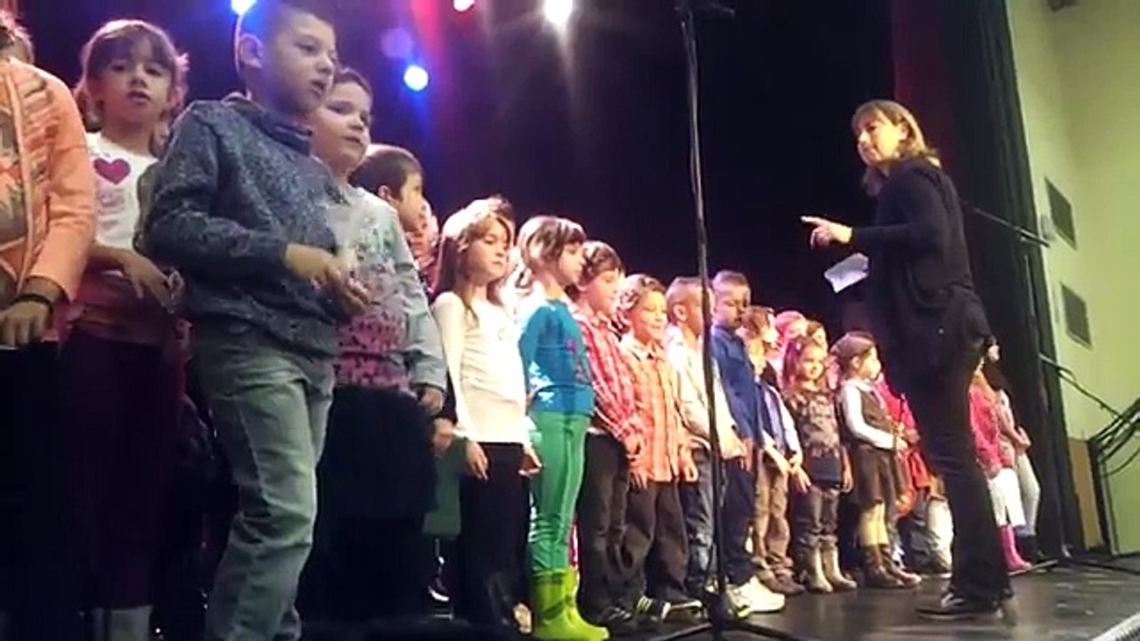 Le chant des Partisans cérémonie du 11 novembre 2014 à Gardanne