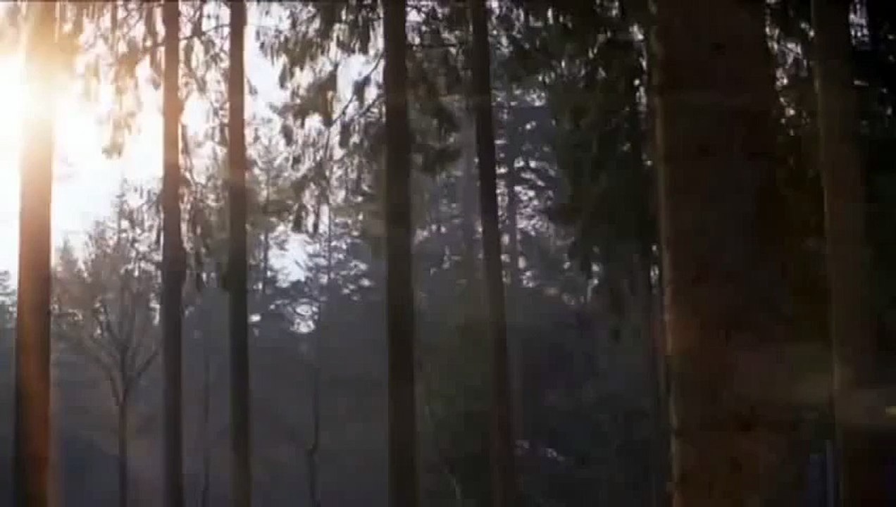 Mercedes Benz E Class Sorry Reklam