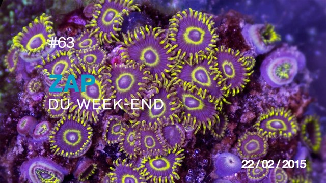 ZAP DU WEEK-END # 63 : Forteresse de glace / Ouvrir 9 bières d'un coup / Enorme raté d'un gardien / 1er vol en wingsuit depuis le Kilimandjaro