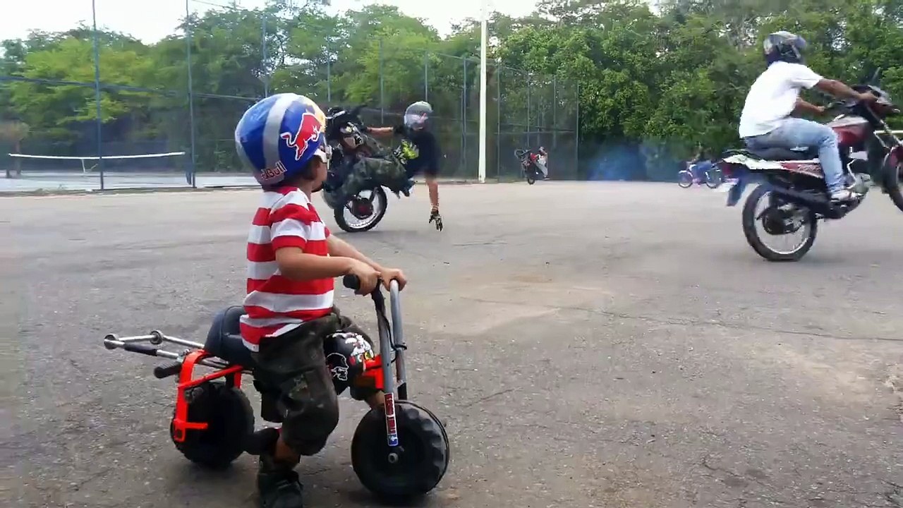 Little  Stunt Master