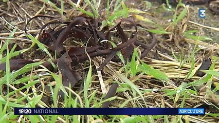 Comment concilier agriculture et écologie ?