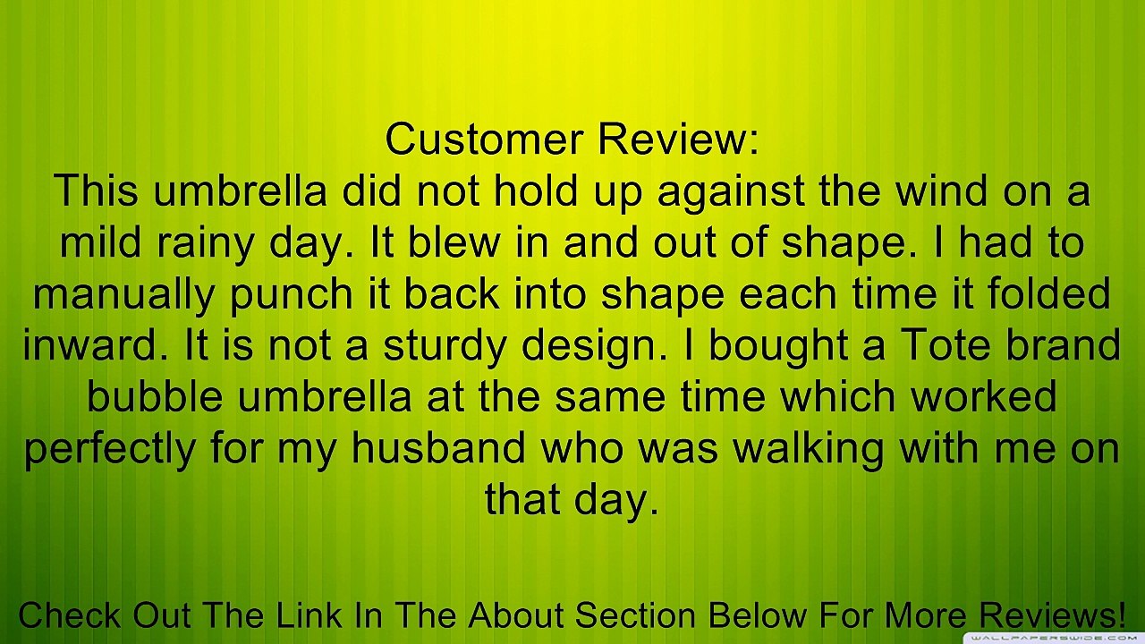 Rainkist Bubble Umbrella - Clear Dome Shaped Rain Umbrella, 20020-133 Review