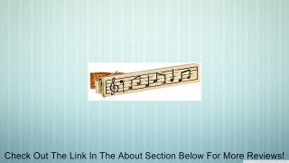 Status Men's Tie Bar Music Notes Review